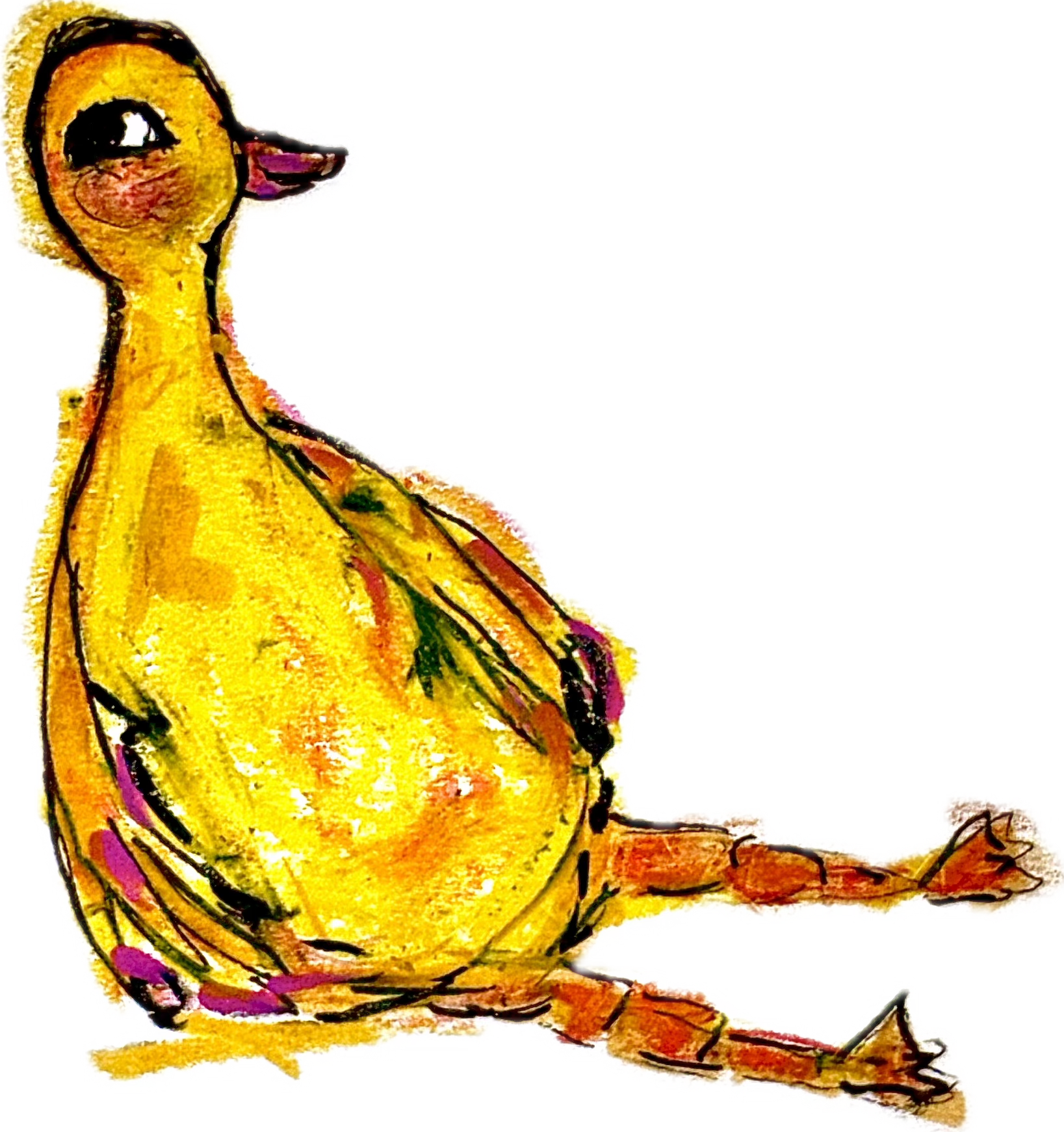 My Favorite Goose